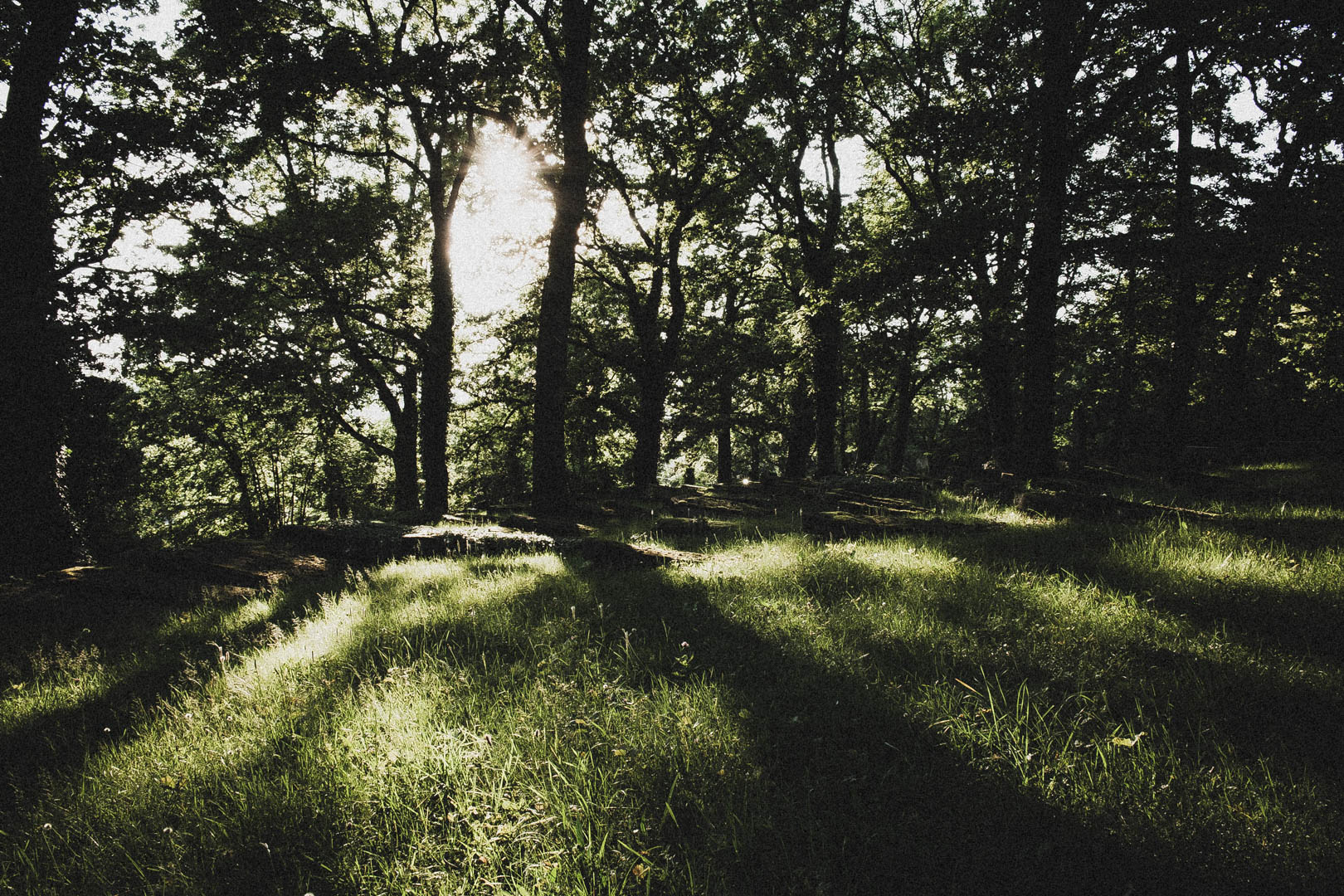 Jüdischer Friedhof Kassel-Bettenhausen